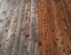 Wood Wood